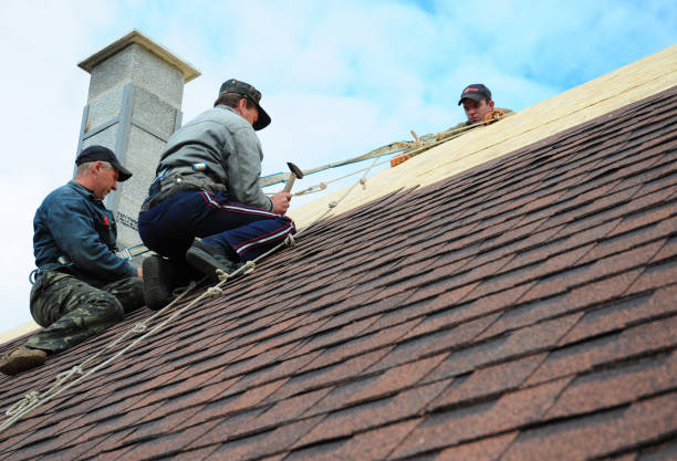Best Roof Leak Repair  in Hopkinsville, KY